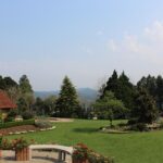bordure de jardin