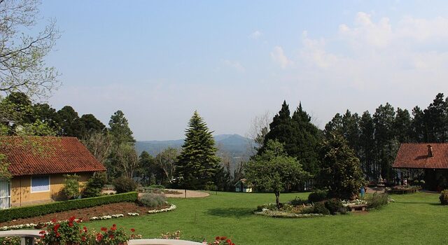 bordure de jardin