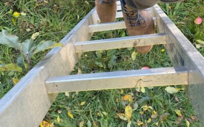 Travaux en hauteur