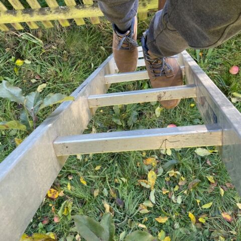 Travaux en hauteur